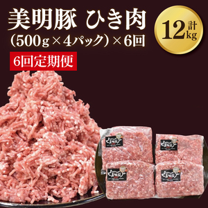 y6ցzy؁zғ v2kg(500g×4pbN)b  Ђ ؓ ғ   no[O ϕ L[}J[  錧 ss(DH-21)