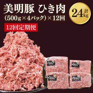 y12ցzy؁zғ v2kg(500g×4pbN)b  Ђ ؓ ғ   no[O ϕ L[}J[  錧 ss(DH-22)