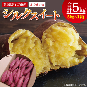 [2025年9月より順次発送]さつまいも(シルクスイート) 約5kg|さつまいも 芋 サツマイモ シルクスイート 先行予約 茨城県 行方市(HP-2)