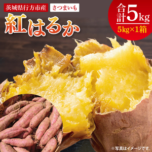 [2025年9月より順次発送]さつまいも(紅はるか) 約5kg|さつまいも 芋 サツマイモ 紅はるか 先行予約 茨城県 行方市(HP-1)