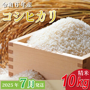 [2025年7月発送]★数量限定★令和6年 茨城県産コシヒカリ 10kg|米 お米 こめ こしひかり コシヒカリ 数量限定 期間限定 令和6年産 茨城県産 行方市 人気 送料無料(CU-328-1)
