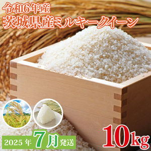 [2025年7月発送]★数量限定★令和6年 茨城県産ミルキークイーン 10kg|米 お米 こめ ミルキークイーン 数量限定 期間限定 令和6年産 茨城県産 行方市 人気 送料無料(CU-331-1)