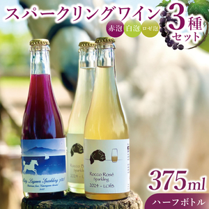 スパークリングワイン「泡3種セット」|ワイン スパークリングワイン ボトルワイン 酒 お酒 酒類 ボトル ぶどう ブルーベリー ロゼ セット ワインセット 茨城県 行方市(GQ-6)