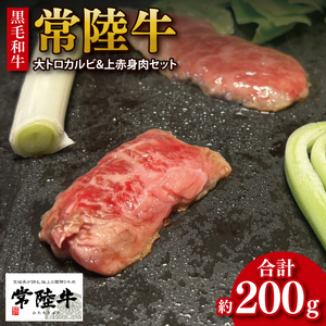 [数量限定][最短7日発送]黒毛和牛 常陸牛 大トロカルビ(約100g) 上赤身肉(約100g)セット|肉 牛肉 和牛 国産 茨城県産 すぐ 届く(HI-1)