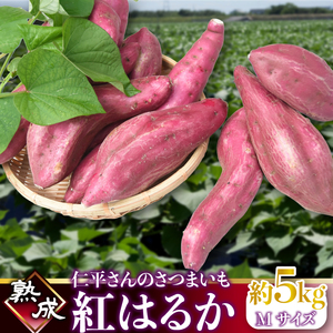 [2026年1月より順次発送]仁平さんの熟成紅はるか 約5kg(Mサイズ・洗い)|さつまいも サツマイモ さつま芋 いも 紅はるか 熟成さつまいも 熟成 茨城県 行方市(CH-3)