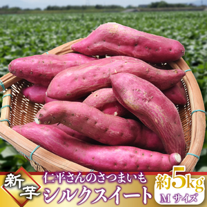 [2025年9月より順次発送]仁平さんの新芋シルクスイート 約5kg(Mサイズ・洗い)|さつまいも サツマイモ さつま芋 いも シルクスイート 新芋 茨城県 行方市(CH-4)