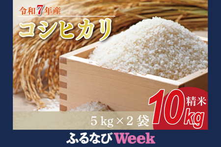 yӂȂWEEKΏہzVāR7NY RVqJ 10kg(5kg×2)FN-Limited-PRb    V R7NY ߘa7NY Ђ RVqJ 錧 錧Y ss(HA-14-A)