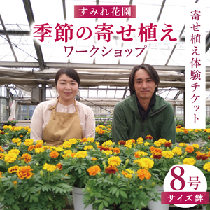 行方市の花農家「すみれ花園」季節の寄せ植えワークショップ(8号サイズ鉢)|花 お花 季節の花 ワークショップ 体験 体験チケット ラーケーション ガーデンセラピー 寄せ植え 茨城県 行方市(EH-30)