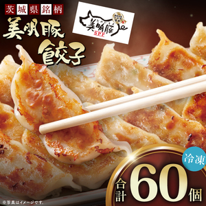 自慢の1品!木村屋の美明豚餃子 60個入り|肉 お肉 豚肉 美明豚 ブランド豚 国産 餃子 ギョウザ 肉の木村屋 茨城県 行方市(J-20)