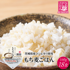 y2025N12{菇z錧YRVqJgp pbN͂() 160g×18HbRVqJ Ђ  pbN pbN͂ ~ hД~ ȒP 錧Y 錧 s