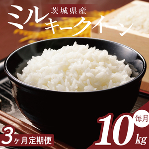 y2026N2菇zy3ցzR7NY ~L[NC[ 10kgb    R7NY ߘa7NY ~L[NC[  錧 錧Y ss(HA-33)