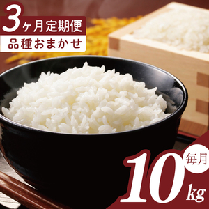 �y2026�N2����菇�������z�y3�����ցzR7�N�Y�� �i�킨�܂�������� 10kg�b�� ���� ���� ���� R7�N�Y �ߘa7�N�Y �����Ђ��� �R�V�q�J�� �~���L�[�N�C�[�� �ɂ��̂���߂� ���������܂� ���