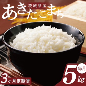 y2026N2菇zy3ցzR7NY ܂ 5kgb    R7NY ߘa7NY ܂  錧 錧Y ss(HA-27)