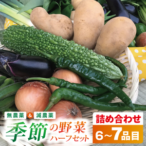 身体が喜ぶ季節の野菜ハーフセット(6〜7品)|野菜 やさい 野菜セット セット 詰め合わせ おまかせ 茨城県 行方市(BI-107)