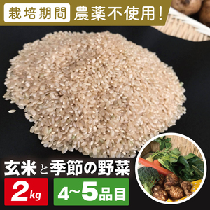[身体が喜ぶ野菜]玄米2kgと季節の野菜(おまかせ4〜5品)(茨城県共通返礼品/潮来市)|米 お米 こめ 玄米 野菜 野菜セット 栽培期間農薬不使用 茨城県共通返礼品 共通返礼品 茨城県 潮来市 行方市(BI-57)