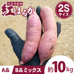 茨城県行方市特産紅はるか 2Sサイズ(A品・B品ミックス) 約10kg|さつまいも 紅はるか(FU-5)