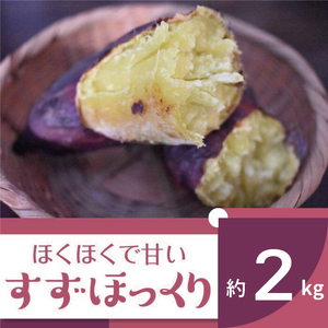 2025年度産 ホクホクで甘いさつまいも すずほっくり 約2kg|さつまいも 芋 お芋 すずほっくり 渋谷農園 茨城県 行方市(BZ-55)