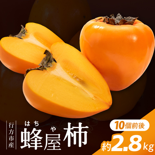 [2026年11月より順次発送]行方市産 蜂屋柿 約2.8kg|柿 先行予約 茨城県(CP-16)
