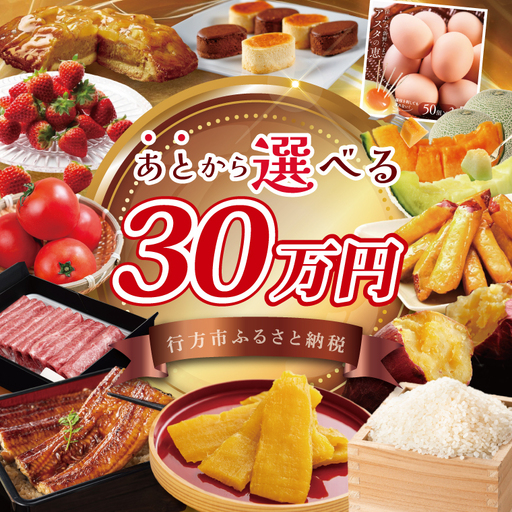 あとから選べる★茨城県行方市ふるさとギフト 寄附額:30万円分