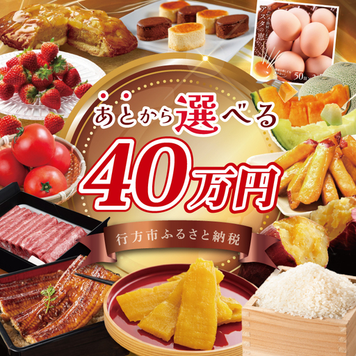 あとから選べる★茨城県行方市ふるさとギフト 寄附額:40万円分