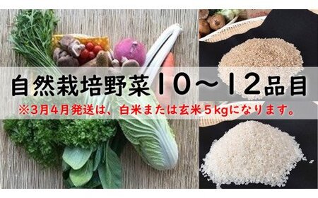 自然栽培野菜10〜12品目(3月4月は白米または玄米5kg)