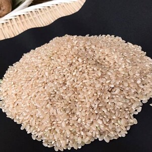 [2026年9月下旬より順次発送][栽培期間農薬不使用]令和8年産こしひかり 5kg(玄米)|米 お米 こめ こしひかり コシヒカリ 令和8年産 先行予約 茨城県 行方市(BI-60)