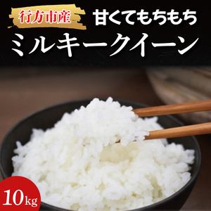 令和7年度産★甘くてもちもち ミルキークイーン 10kg|米 お米 こめ ミルキークイーン 令和7年産 R7年産 新米 白米 茨城県 行方市(BR-3-1)
