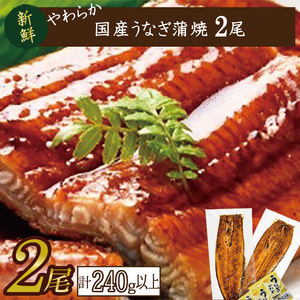 やわらか国内産うなぎ蒲焼満足サイズ!120〜140g 2尾 計240g以上|うなぎ 鰻 蒲焼 満足 茨城県 行方市(AD-85-1)
