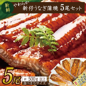 炩YȂĂI Hא؂TCY100`120g 5@v500gȏ|Ȃ V  Hא؂ 錧 ss(AD-103-1)