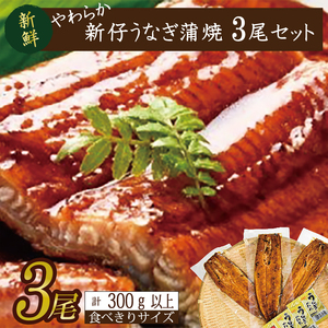炩YȂĂI Hא؂TCY100`120g 3@v300gȏ|Ȃ V  Hא؂ 錧 ss(AD-105-1)