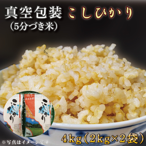 真空包装★R6年産こしひかり 4kg(2kg×2袋)(5分づき)|米 こめ お米 コシヒカリ こしひかり 真空 真空包装 5分づき 人気 個包装 茨城県 行方市 送料無料(CZ-6-1)