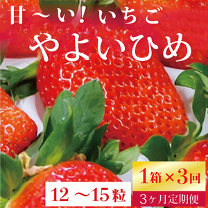 [2026年2月より順次発送][3ヶ月定期便]甘〜い!いちご やよいひめ 1箱(12粒〜15粒入り)|いちご イチゴ 苺 ストロベリー やよいひめ 果物 くだもの フルーツ 定期便 フルーツ定期便 先行予約 茨城県 行方市(V-16)