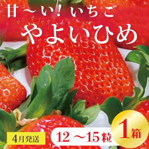 y2026N4zÁ`I 悢Ђ 1(12`15)b C`S  Xgx[ 悢Ђ ʕ  t[c s\ 錧 ss(V-17)