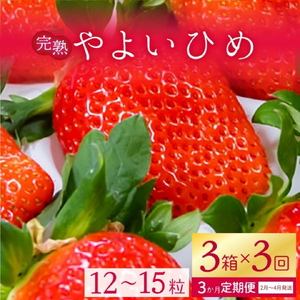 y2026N2菇zy3ցzÁ`I 悢Ђ 3(1F12`15)b C`S  Xgx[ 悢Ђ ʕ  t[c  t[c