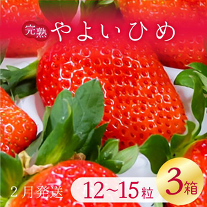 y2026N2zÁ`I 悢Ђ 3(1F12`15)b C`S  Xgx[ 悢Ђ ʕ  t[c s\ 錧 ss(V-6)