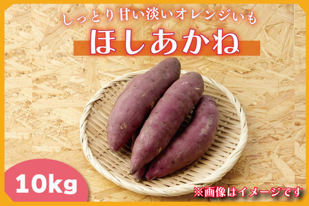 y2025N11菇z2025NxY ƂÂWIW ق 10kgb܂   ق aJ_ s\ 錧 ss(BZ-37)