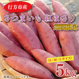 [期間限定]野原さんちのさつまいも 紅まさり 約5kg|さつまいも 芋 紅まさり 茨城県 行方市 焼き芋 やきいも 1万円以下 期間限定 天ぷら(EL-1-1)