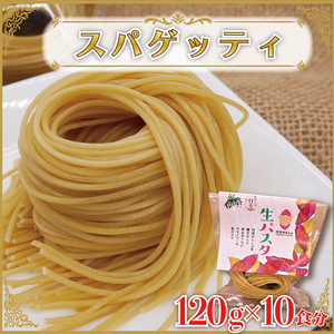 CJ-15 生パスタ （スパゲッティ10食分）