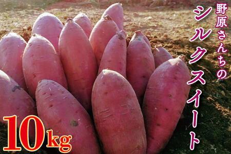 y2026N1{菇z쌴񂿂̃VNXC[g 10kgb ܂ Tc}C   VNXC[g Ԍ s\ 錧 ss(EL-4)