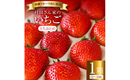 [3月発送]いちご [ とちおとめ ] 1箱 (12〜15粒) 村田さん家のいちご