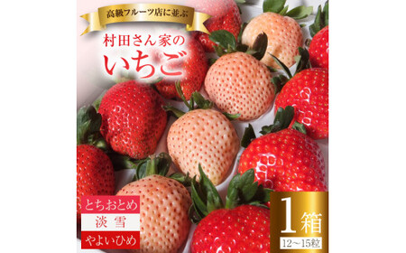 [1月発送]村田さん家のいちご [3種食べ比べセット] (1箱12〜15粒)