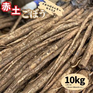 [ふるなびWEEK対象]ゴボウが好きな方へ「赤土ごぼう」10kg/Lサイズ(70cm〜90cmカット) FN-Limited-PR