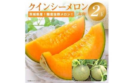糖度抜群!奇跡のクインシーメロン(赤肉)2玉入り