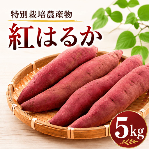 さつまいも 紅はるか 約5kg さつまいも
