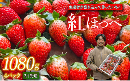 [2月発送]紅ほっぺ/270g×4パック(4パック入り1箱)