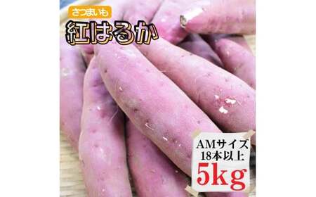 さつまいも【紅はるか】AMサイズ5kg（18本以上）