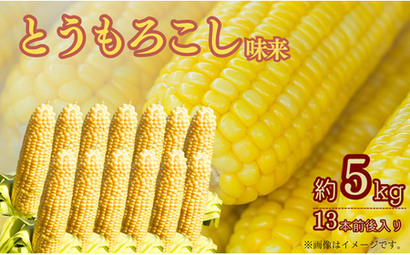 Ђq̂Ƃ낱ij@5kg^13{O@`2026N6ɔ`