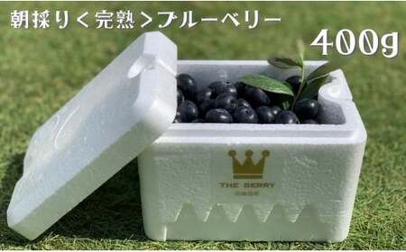 朝採り[完熟]ブルーベリー 400g