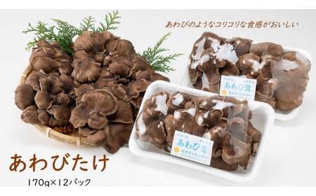 あわびたけ(170g×12パック)