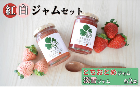 紅白ジャムセット とちおとめ2本&淡雪2本